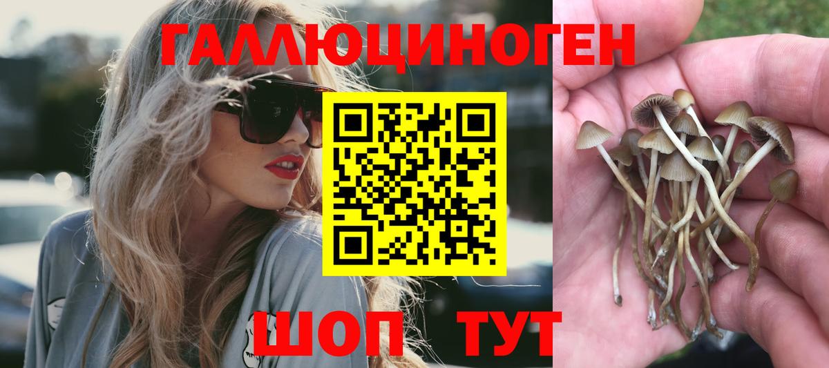 Славянск-на-Кубани  Галлюциногенные грибы мухоморы  Вход с VPN  Галлюциногенные грибы GOLDEN TEACHER 