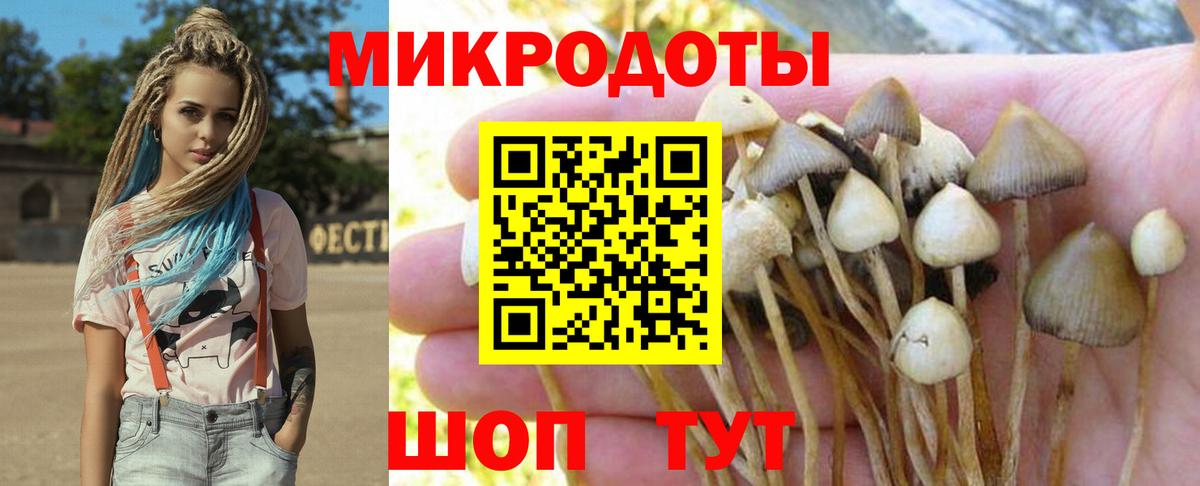 Псилоцибиновые грибы мицелий Славянск-на-Кубани